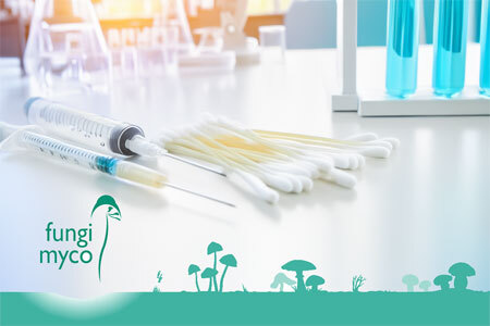 Fungi Myco provides High Quality Spore Syringes and Swabs