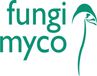 Fungi Myco