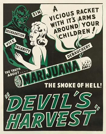 Marijuana: the devil's harvest